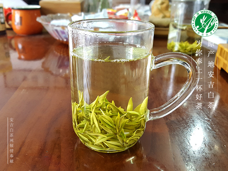2017新茶上市 安吉白茶价格